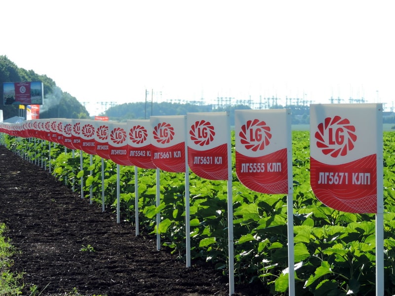 полето на Limagrain Groupe