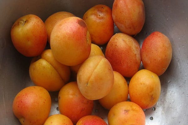 reikia virti