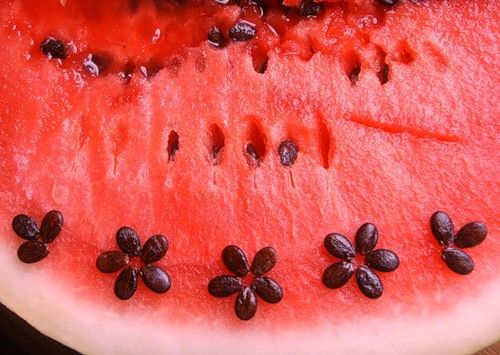 moden vannmelon