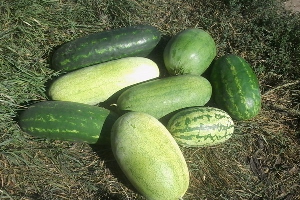 Erntelagerung
