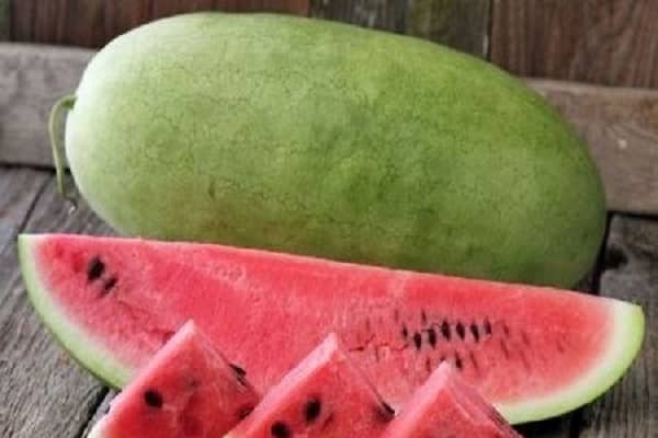 Melonen und Kürbisse