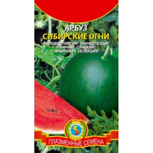 Опис сорте сибирске светлости лубенице, технологија гајења, садња и нега
