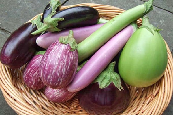 سوف يزهر النبات