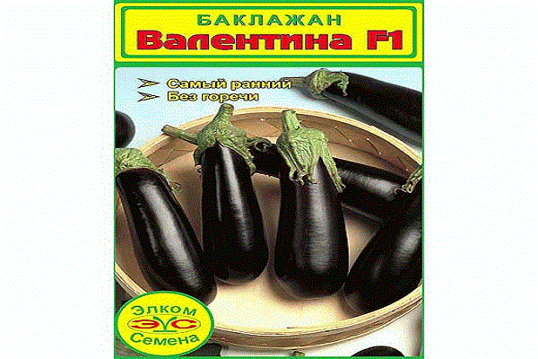 choroby i szkodniki