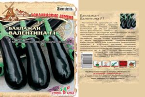 Опис и карактеристике Валентиновог патлиџана, гајење и њега