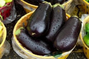 Description et caractéristiques de l'aubergine Vera, rendement, culture et entretien