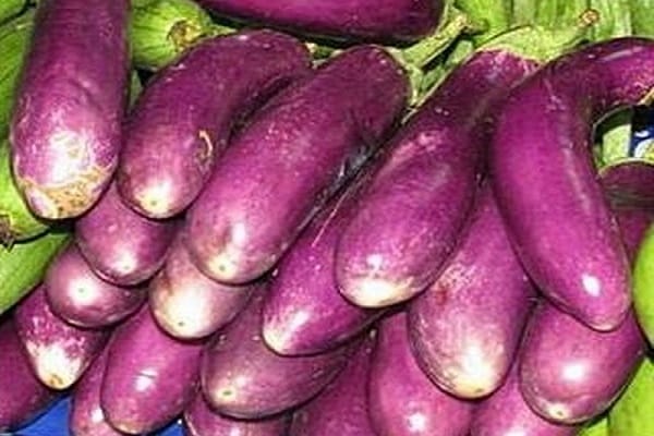 كل مزارع