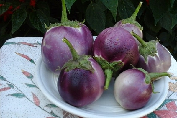 احوال الطقس