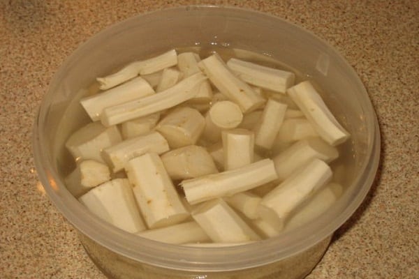 raízes lavadas