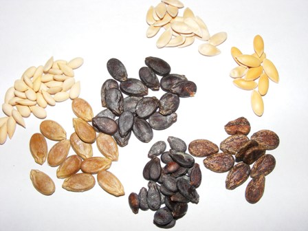 semillas de sandía