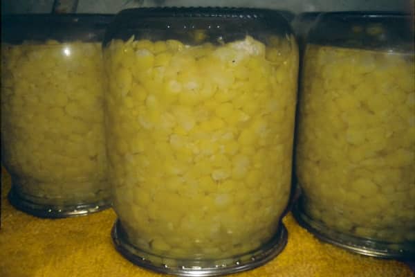 processo de cozimento