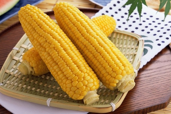 comido cozido