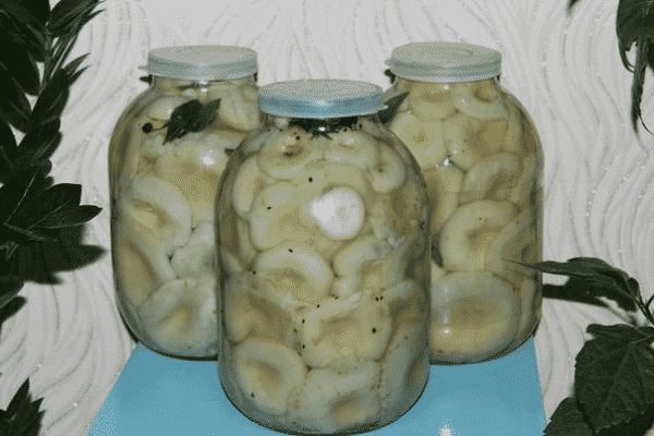 schwarzer Pfeffer