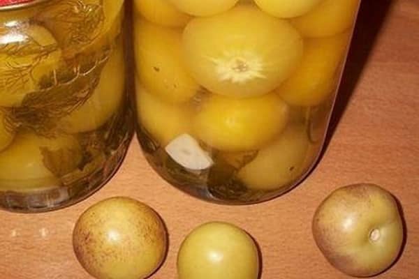 συγκομιδή συγκομιδής