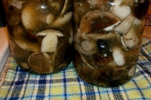 Како солити и укиселити гљиве аспен, рецепте за зиму у стакленкама