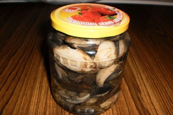 гљива маса
