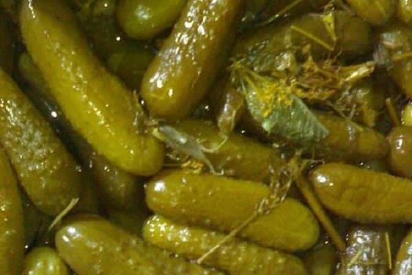 توج