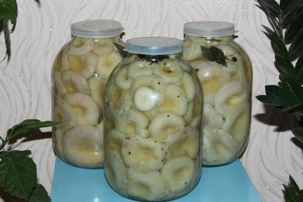 sudėti į prikaistuvį