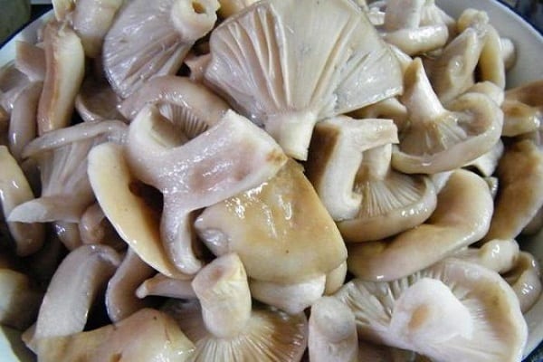 prieskoniai pagal skonį