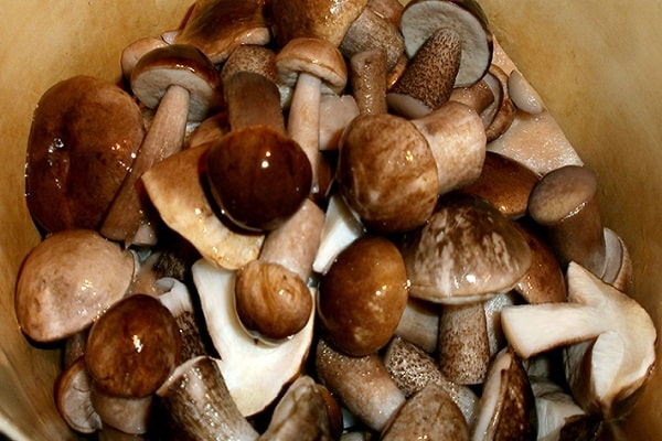 matlagning mästerverk