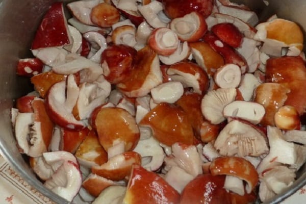 koka vatten