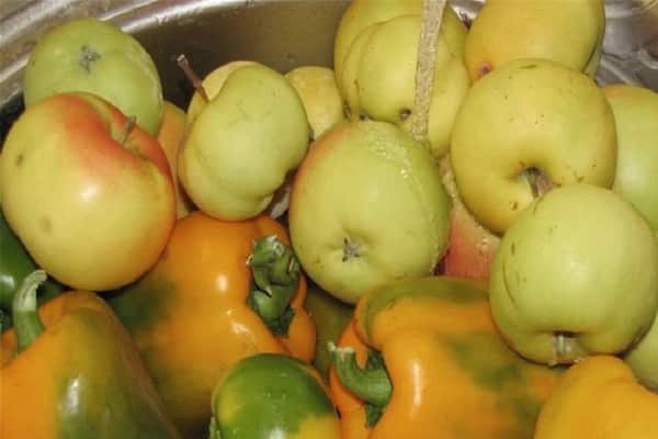 Gemüse und Äpfel