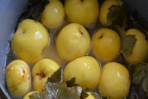 Recipes for making soaked apples for the winter at home in jars