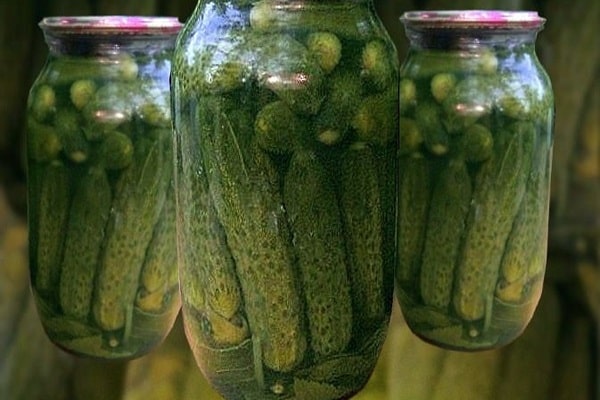 schopnost sterilizace