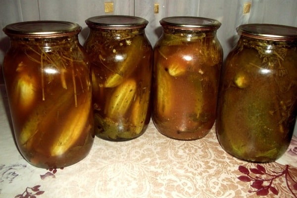 чена белог лука