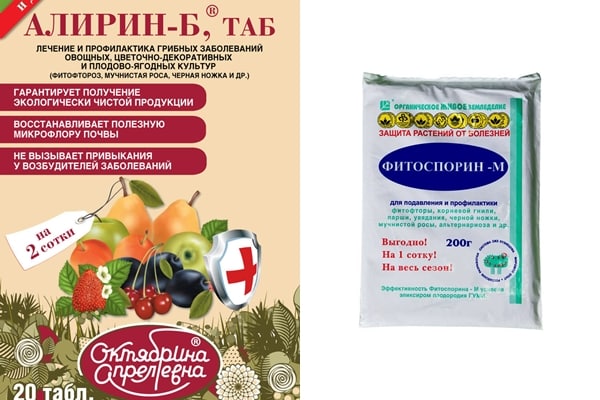 thuốc trị bệnh táo