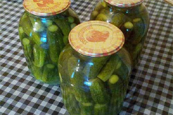 pots de concombres