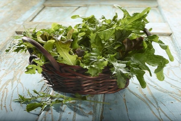 αποθήκευση ρόκα