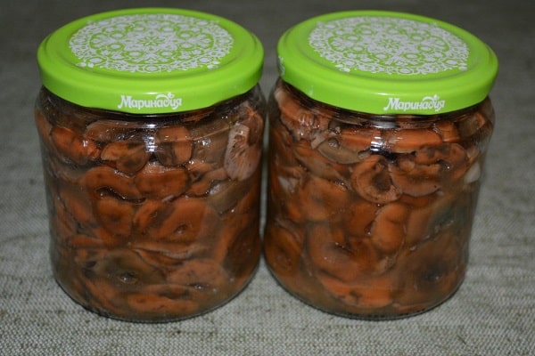 große Vielfalt