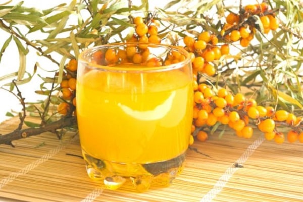عصير البحر النبق