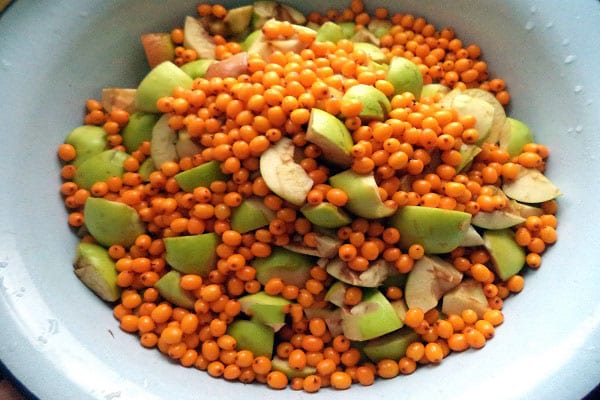 اجزاء متساوية