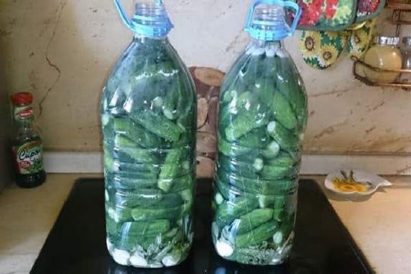 eingelegte Gurken