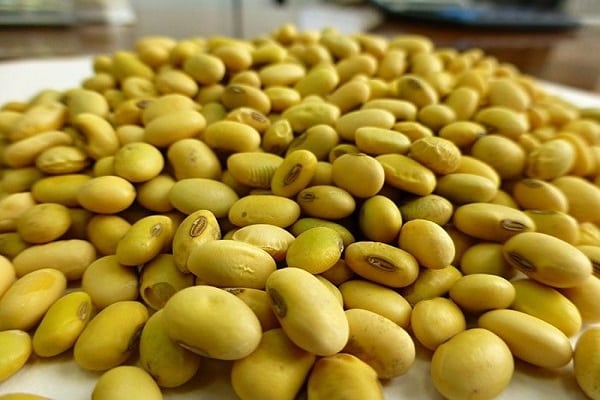 الاثمار بكثرة