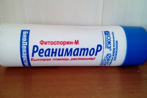 способан за ударање