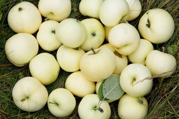 harvest volume