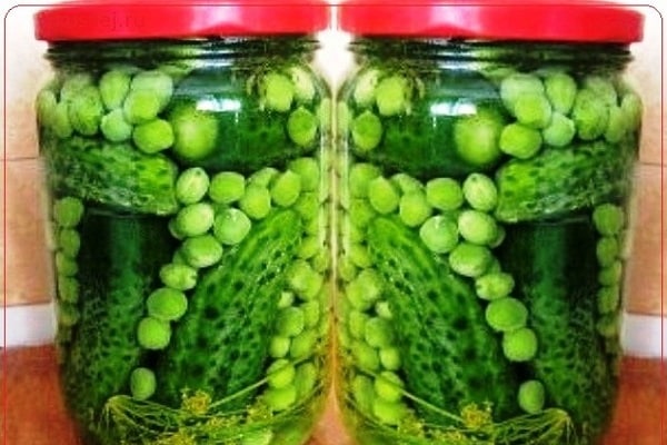 Enlatado com pepinos