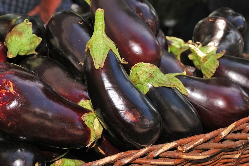 mogen aubergine