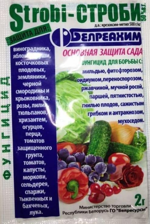 strobe fungicide