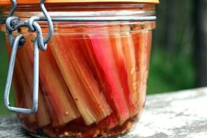 Die besten Rezepte für die Herstellung von Mangold für den Winter, Trocknen, Einfrieren und Beizen