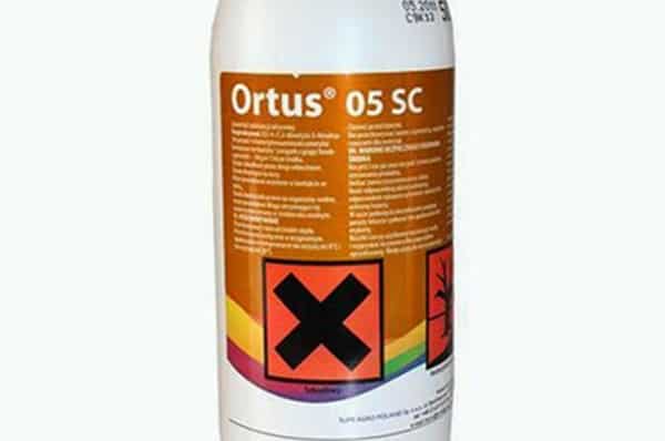 المخدرات orthus