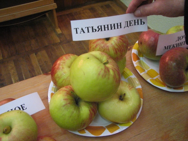 Дан Татинине јабуке