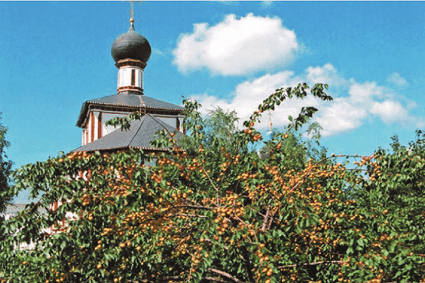 tatlı tat