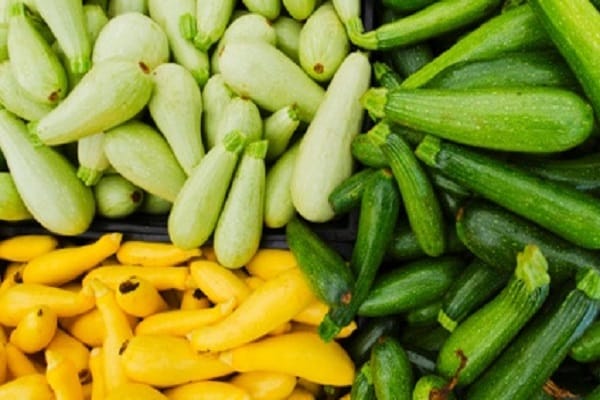 ingredientes necessários