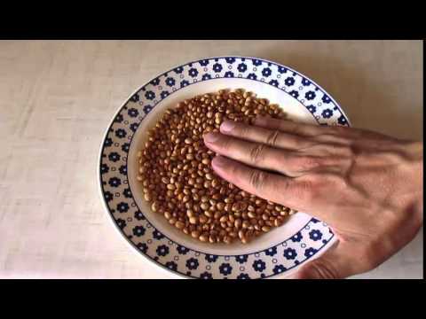 cherry seeds