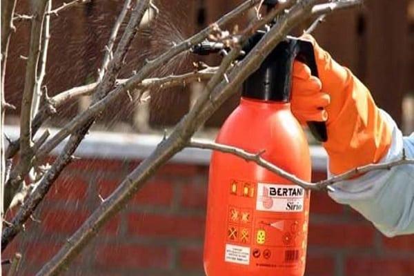 protective solution