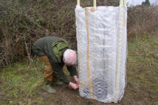 frost protection